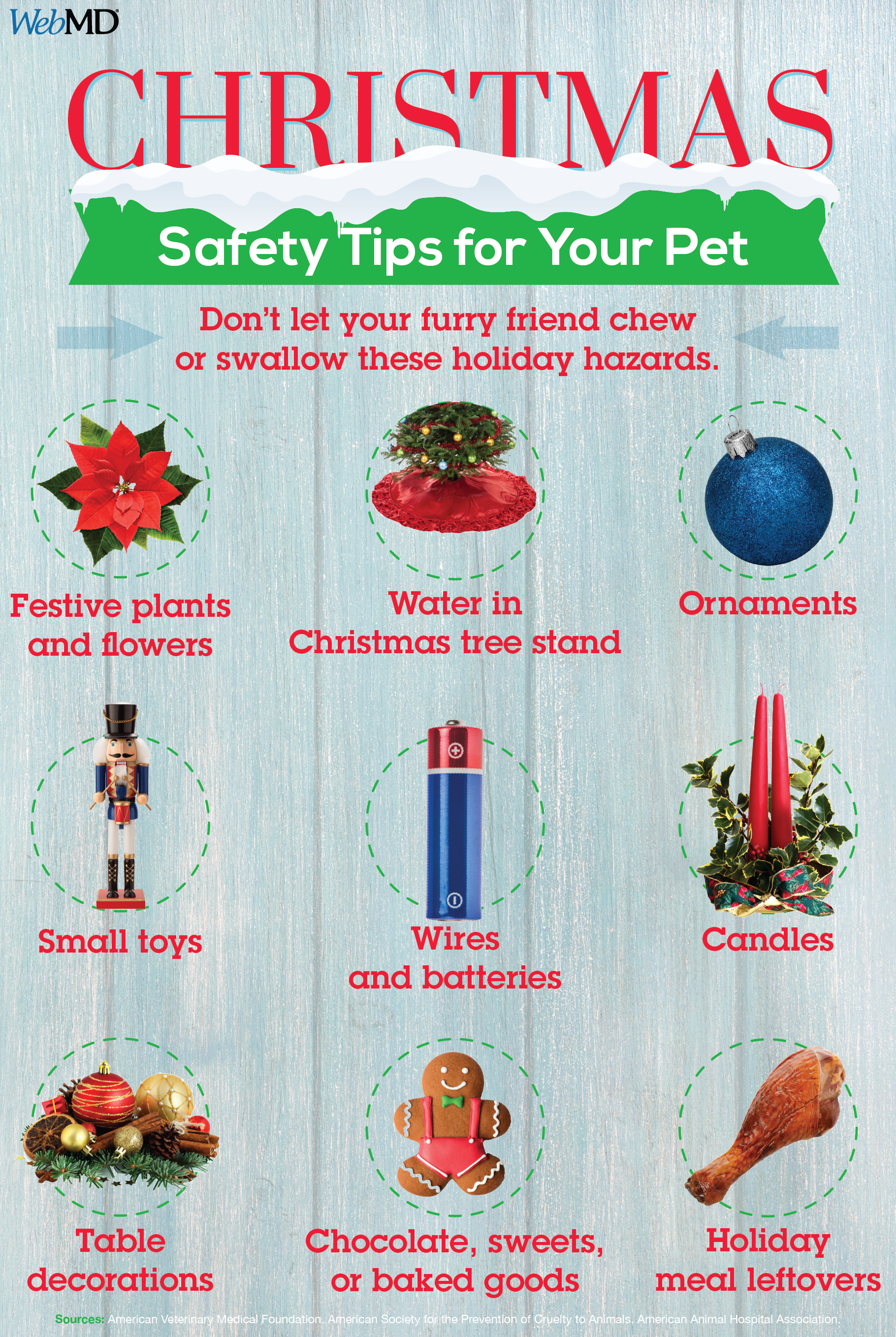 Dog Christmas Tree Tips