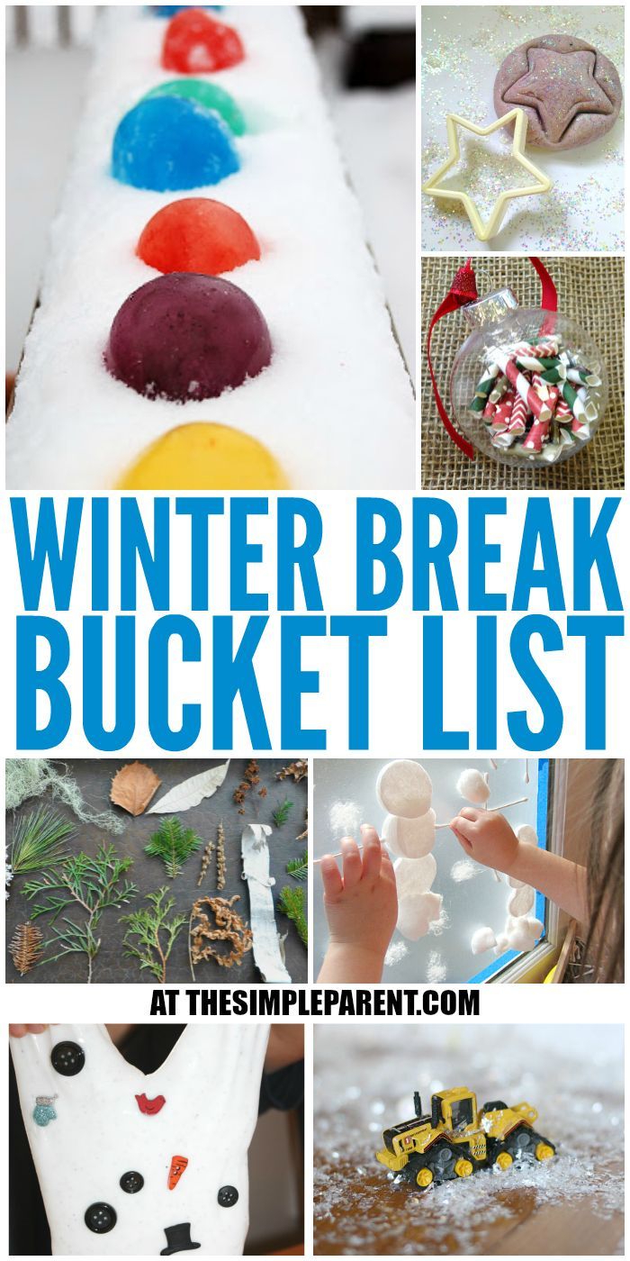 Hampshire School Winter Break Ideas