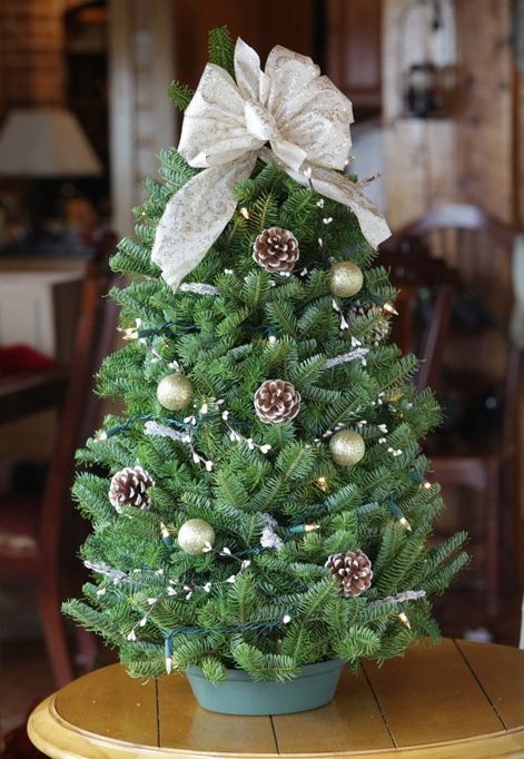 Small Christmas Tree Decoration Ideas for Table Tops