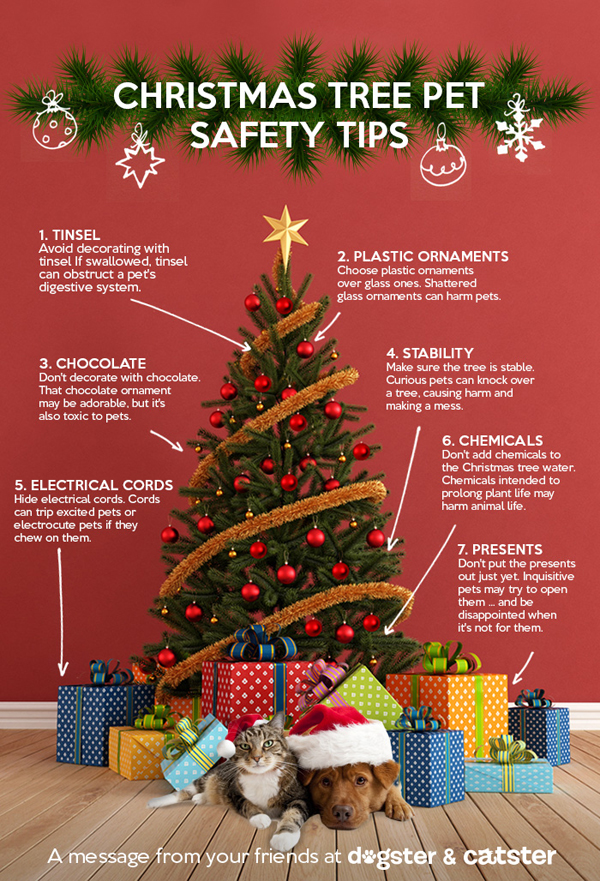 Dog Christmas Tree Safety Ideas