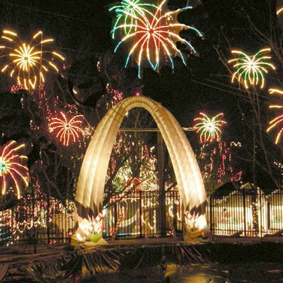 5 Magical Christmas Light Shows To Visit