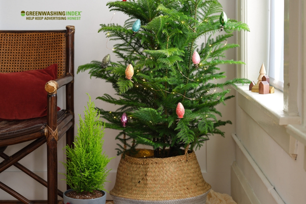 Living Christmas Tree Care Tips