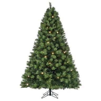 7 Reasons To Choose A Scotch Pine Christmas Tree