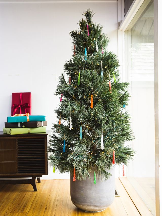 7 Tips For A Thriving Holiday Living Christmas Tree