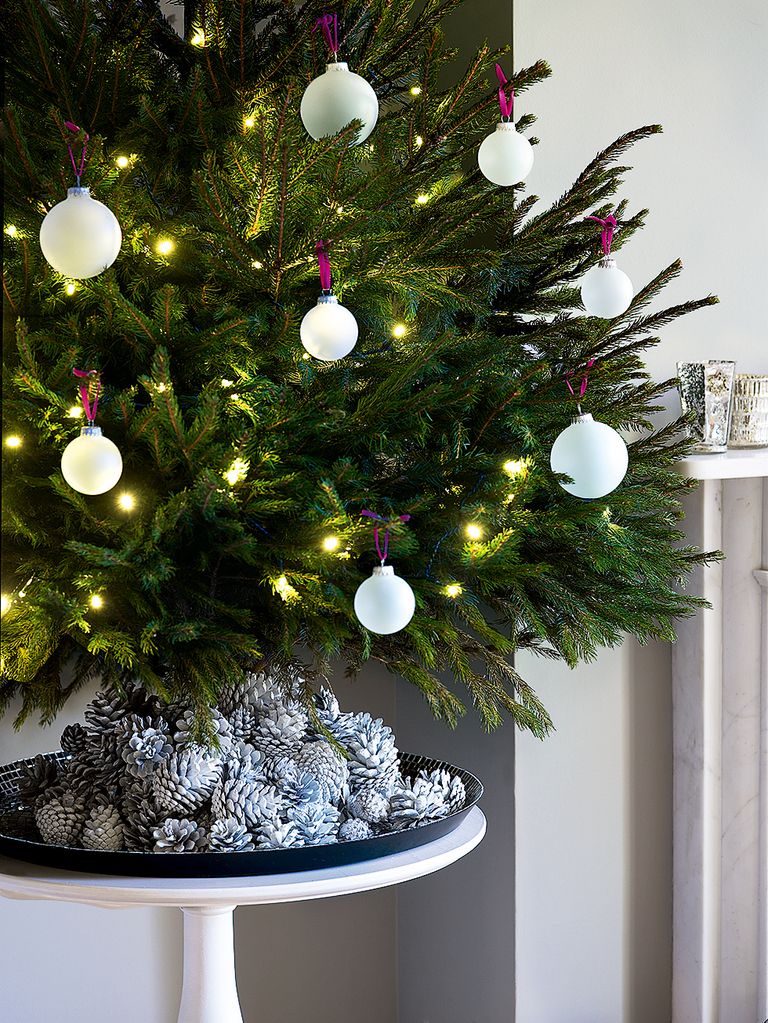 7 Ways To Grow Santas Own Christmas Trees