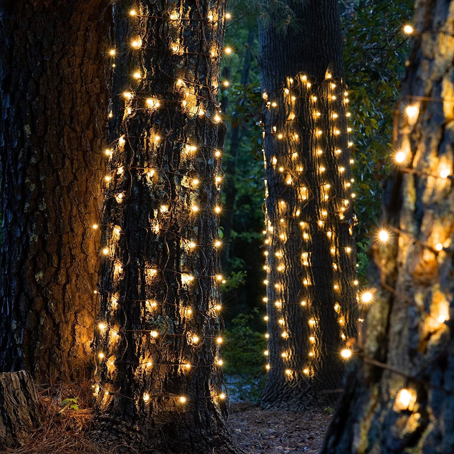 7 Ways To Wrap Christmas Lights Around Tree Trunk