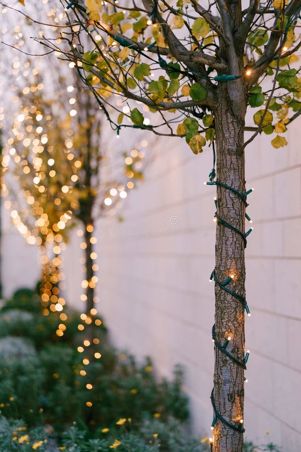 Christmas tree trunk lighting ideas with garlands