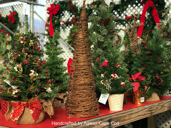 Agway Christmas Trees Best Ideas