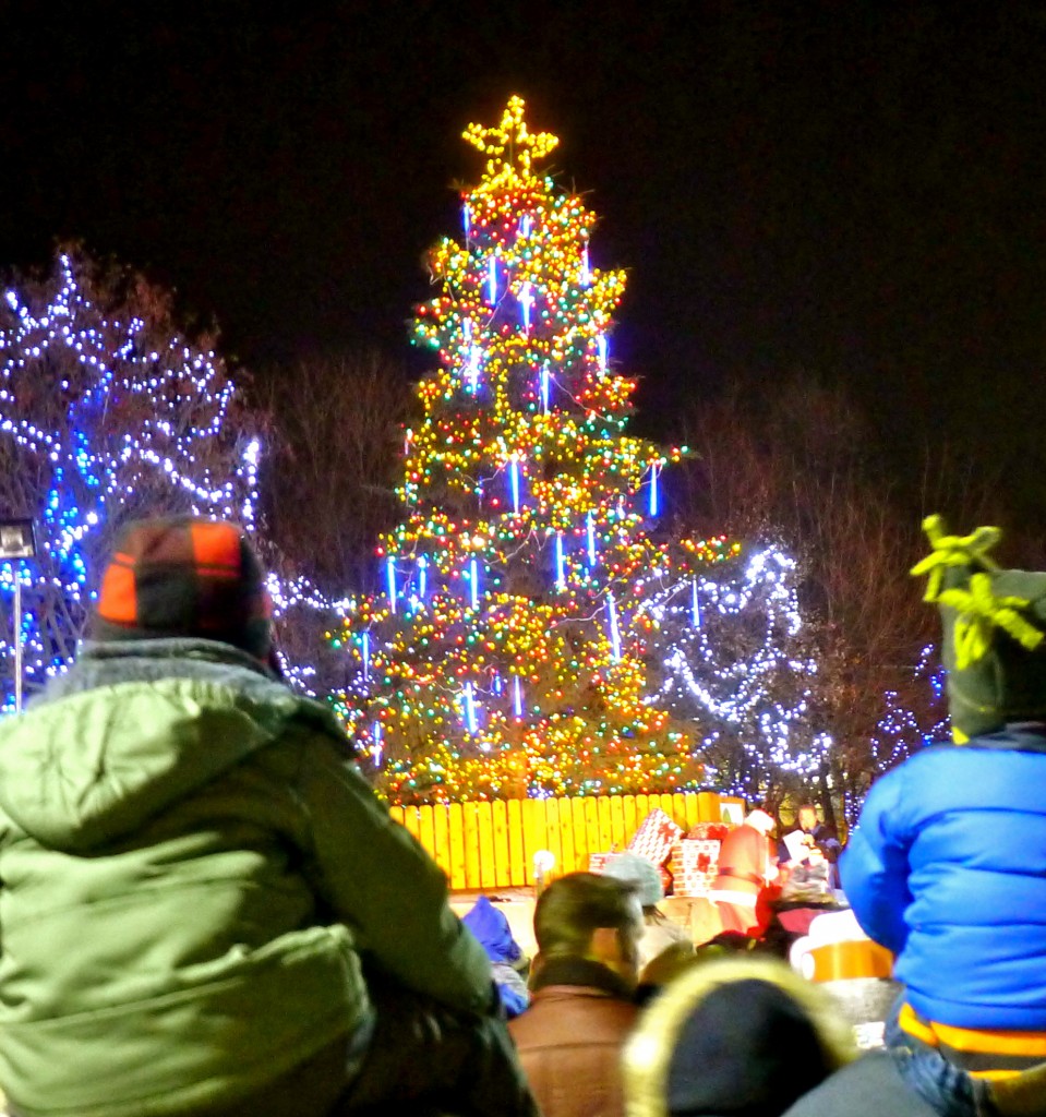 Anchorage Christmas Tree Lighting