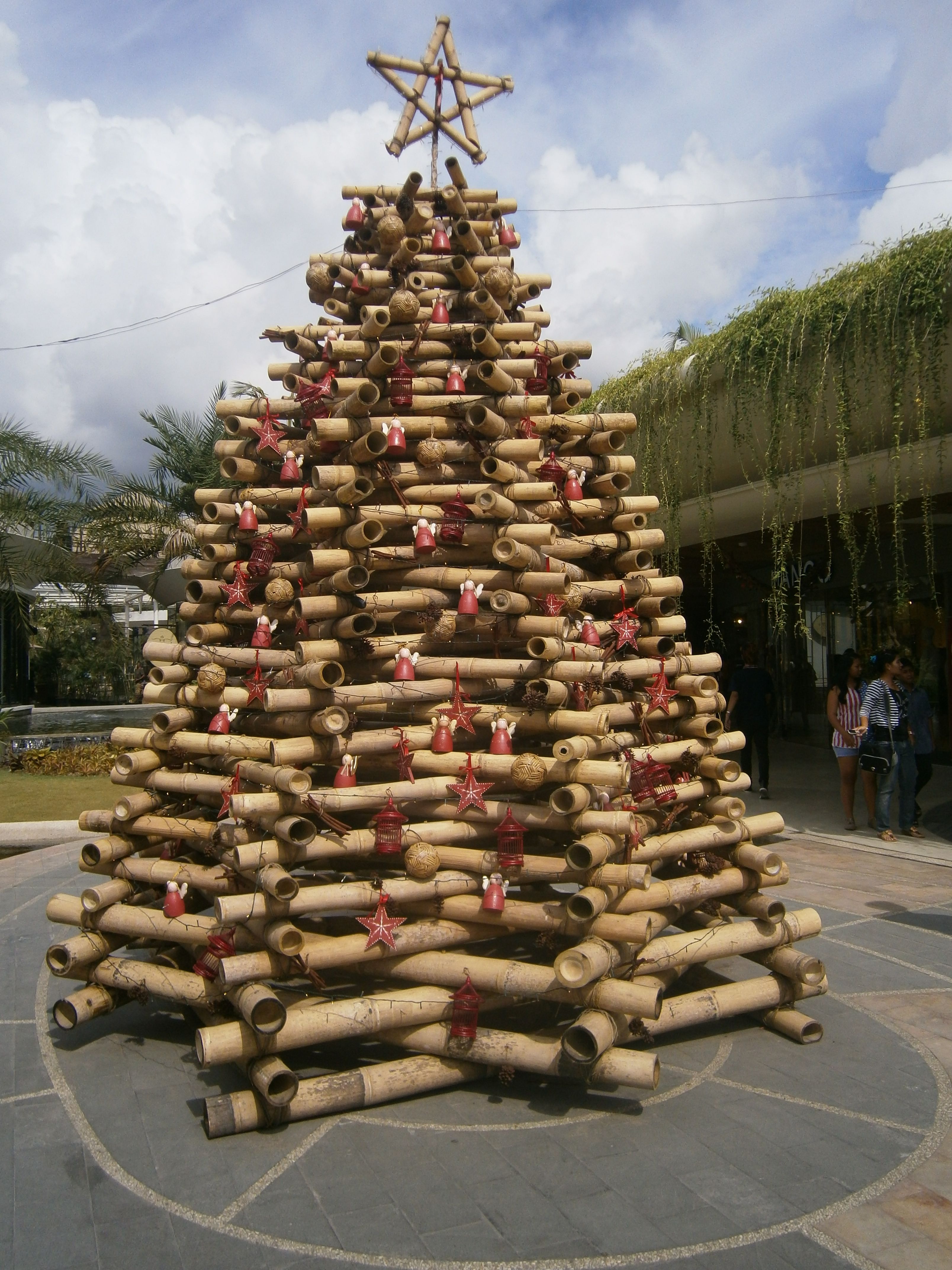 Bamboo Christmas Trees