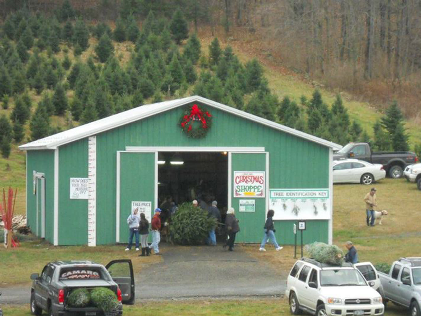 Santa's Arrival at Battenfeld's Christmas Tree Farm