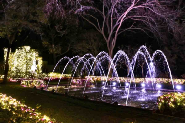 Bayou Bend Collection and Gardens Holiday Lights