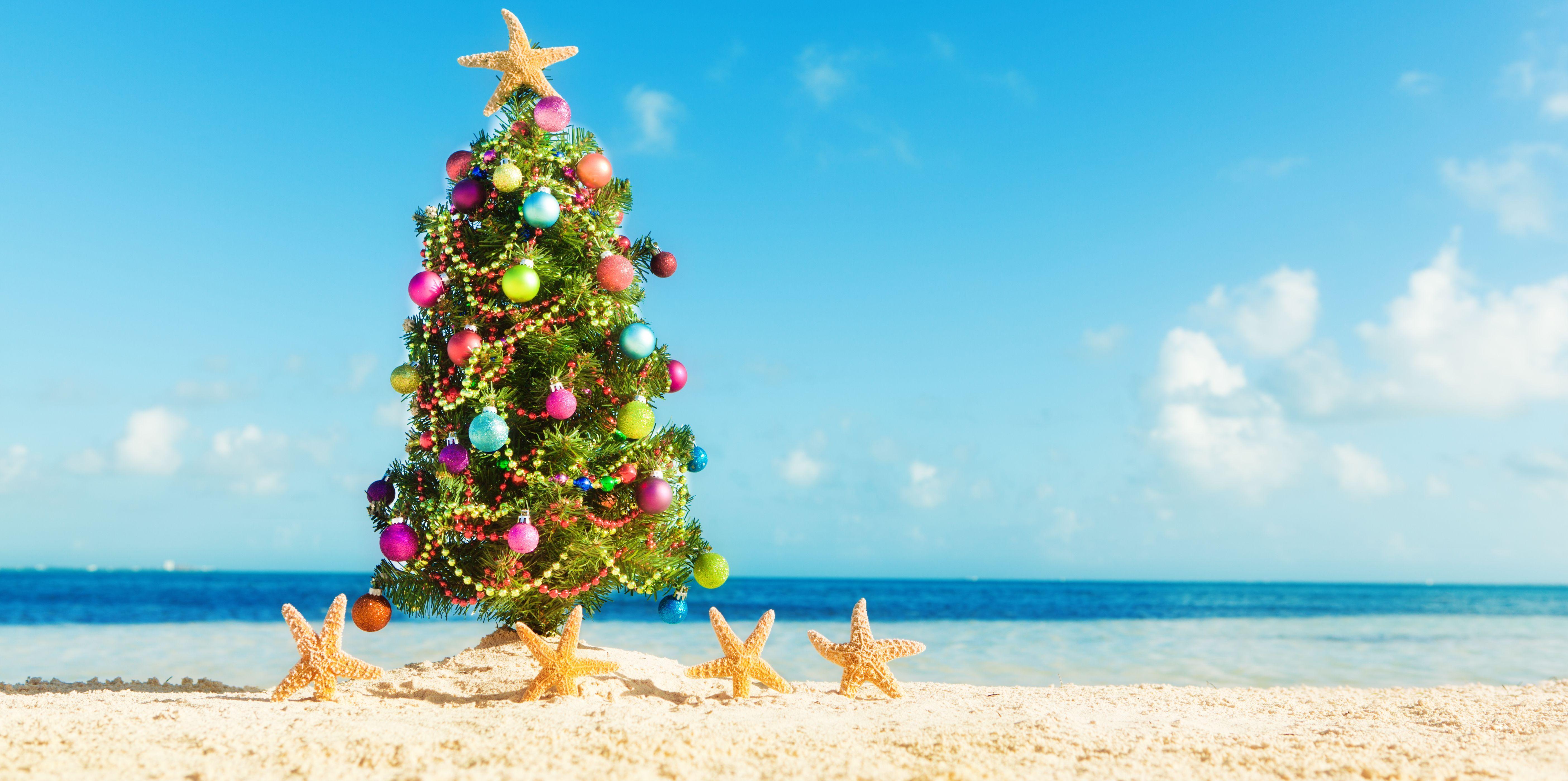 Beach Christmas