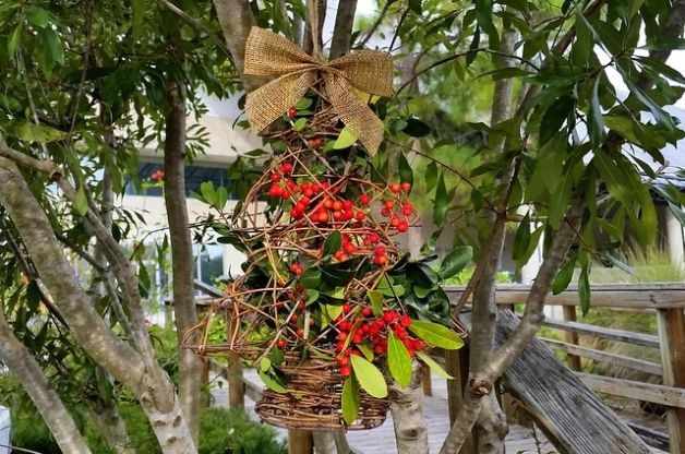 Bird Feeder Christmas Tree DIY