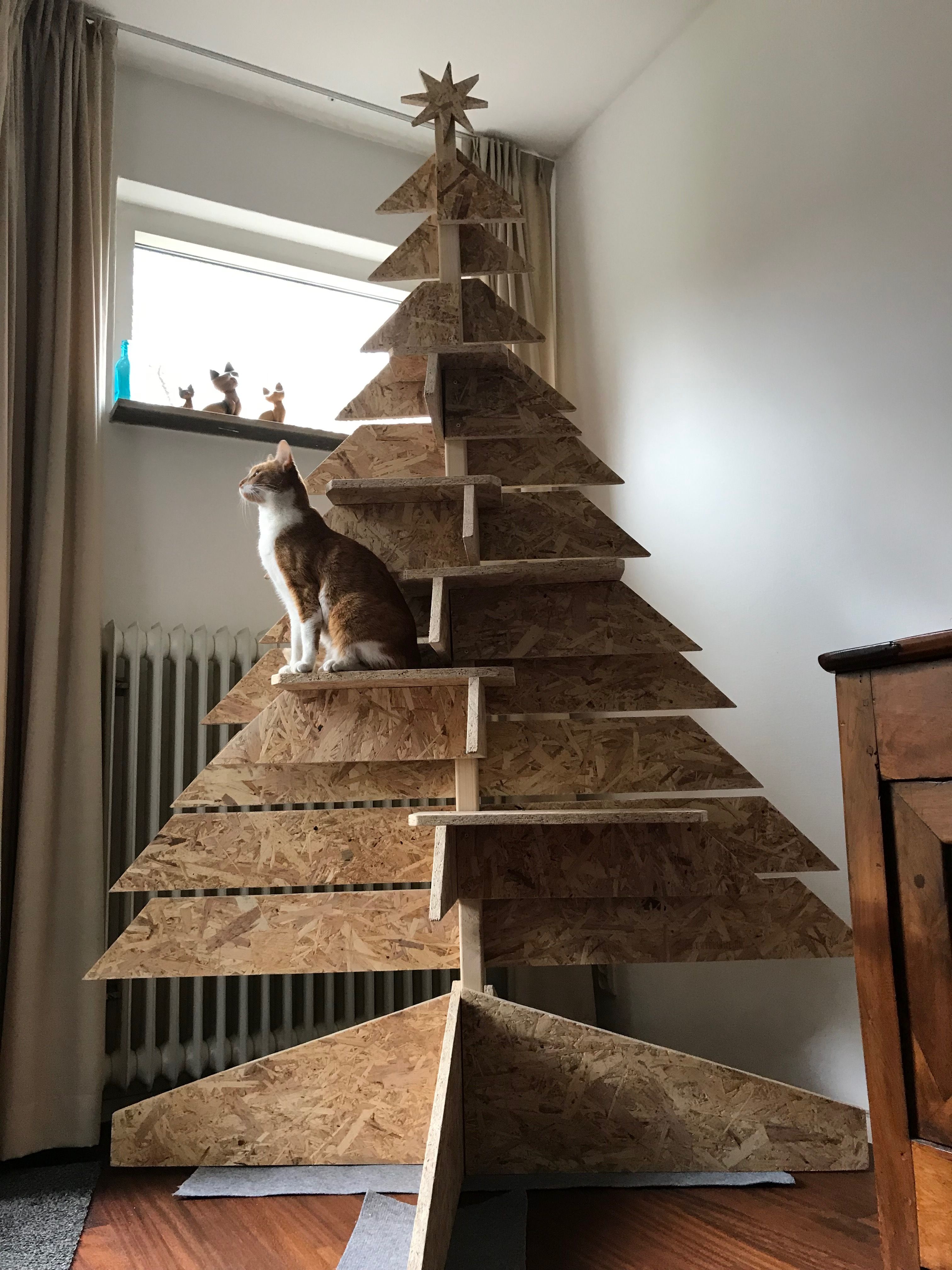 Cat-Proof Christmas Tree Ideas