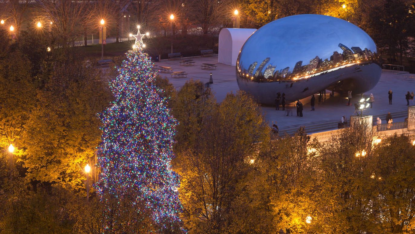 Chicago Christmas Tree Fun Facts