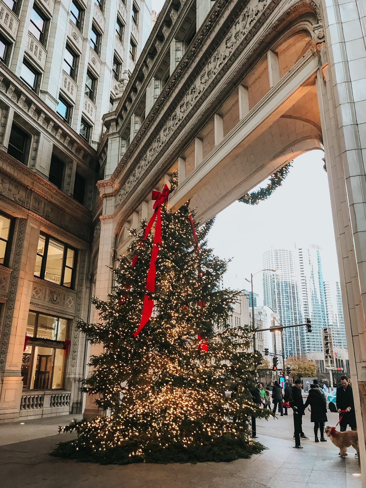 Chicago Christmas Tree Visiting