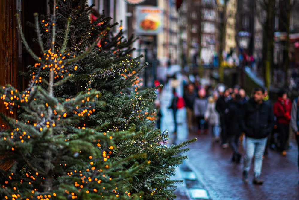 Christmas Day celebration in the Netherlands