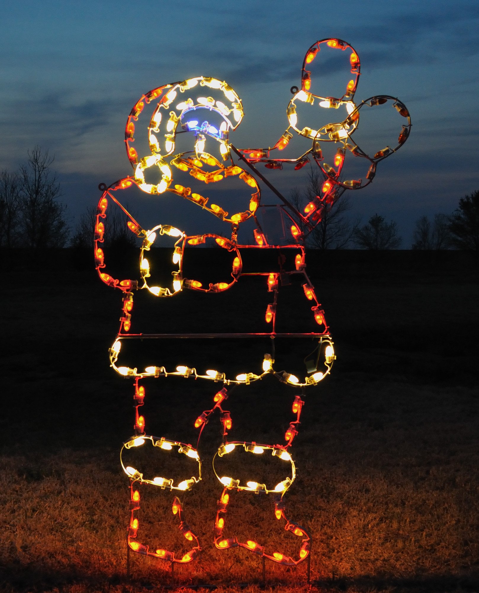 Christmas Light Display