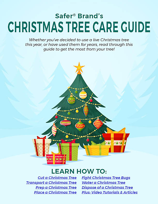 Christmas Tree Care Tips