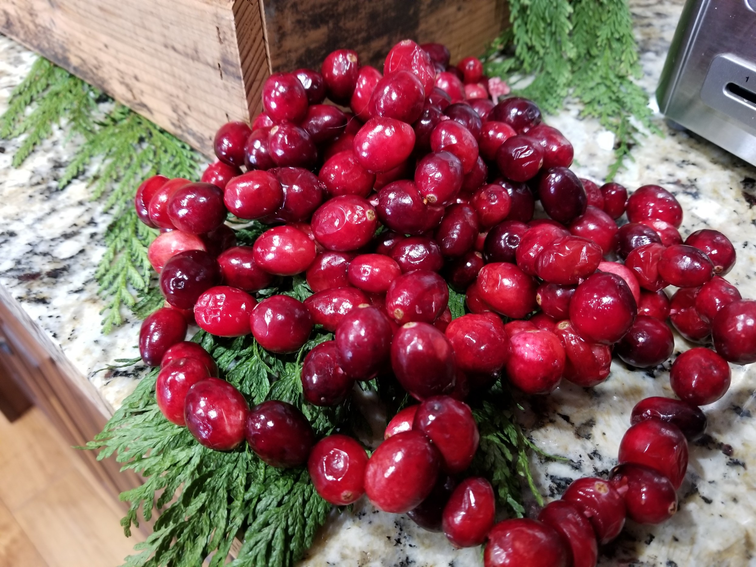 Cranberry Garland