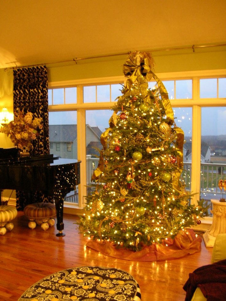 Douglas Fir Christmas Trees Decorations