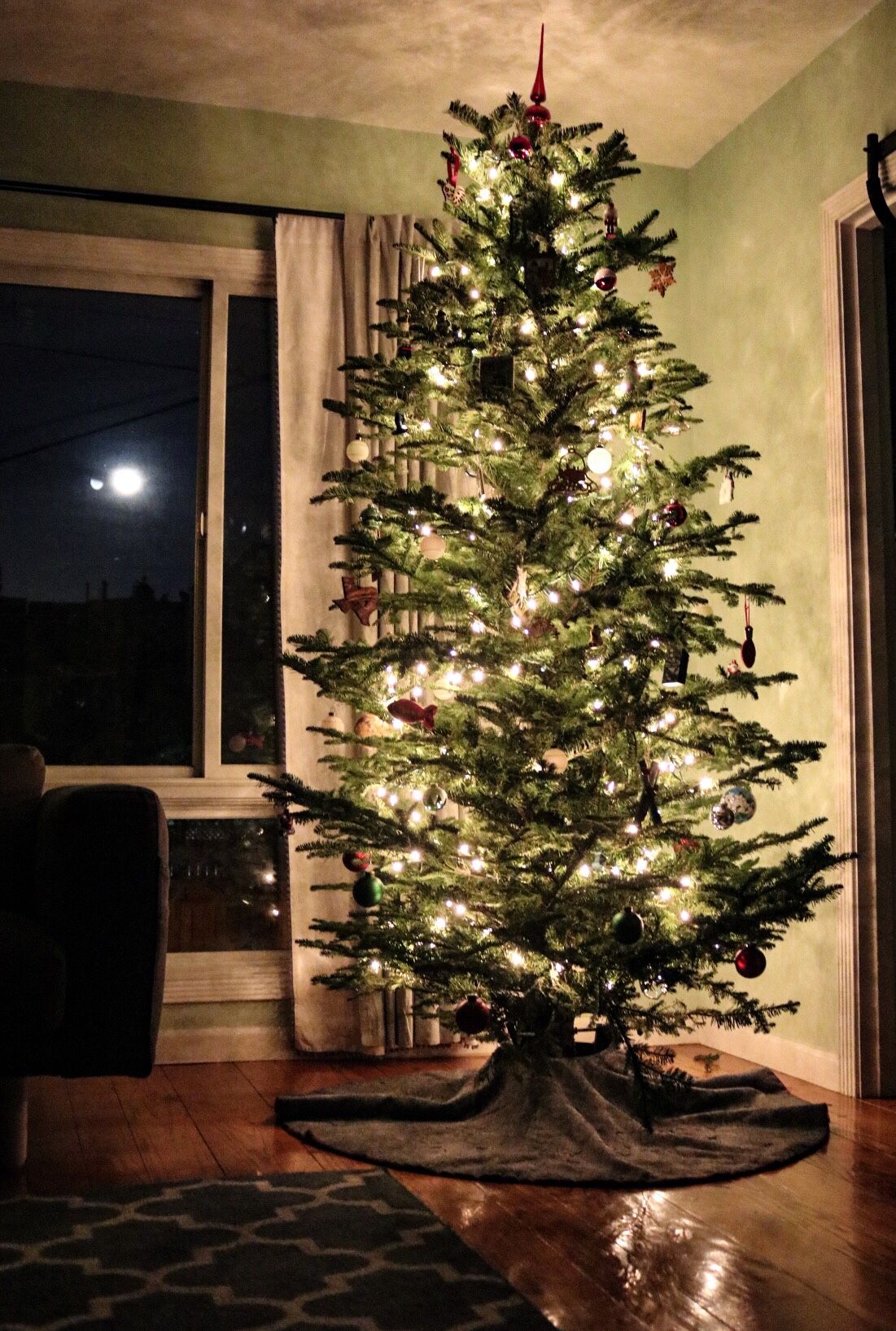 Douglas Fir Christmas Trees Ideas