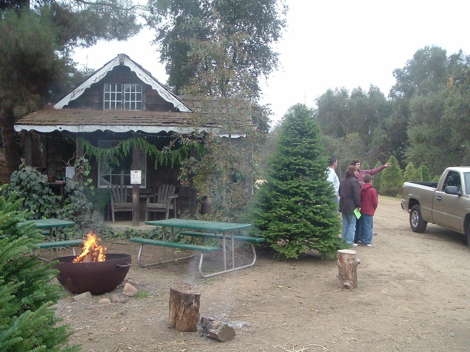 Hillcrest Christmas Tree Farm