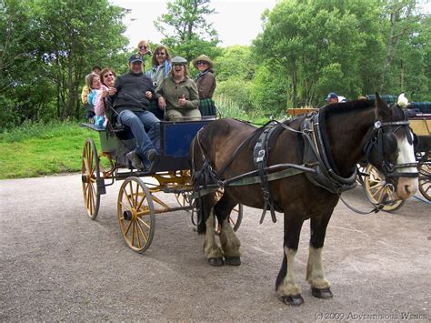 Horse-Drawn Jaunting Car Ride