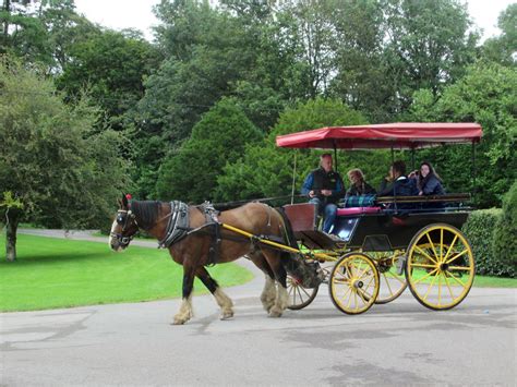 Horse-Drawn Jaunting Car