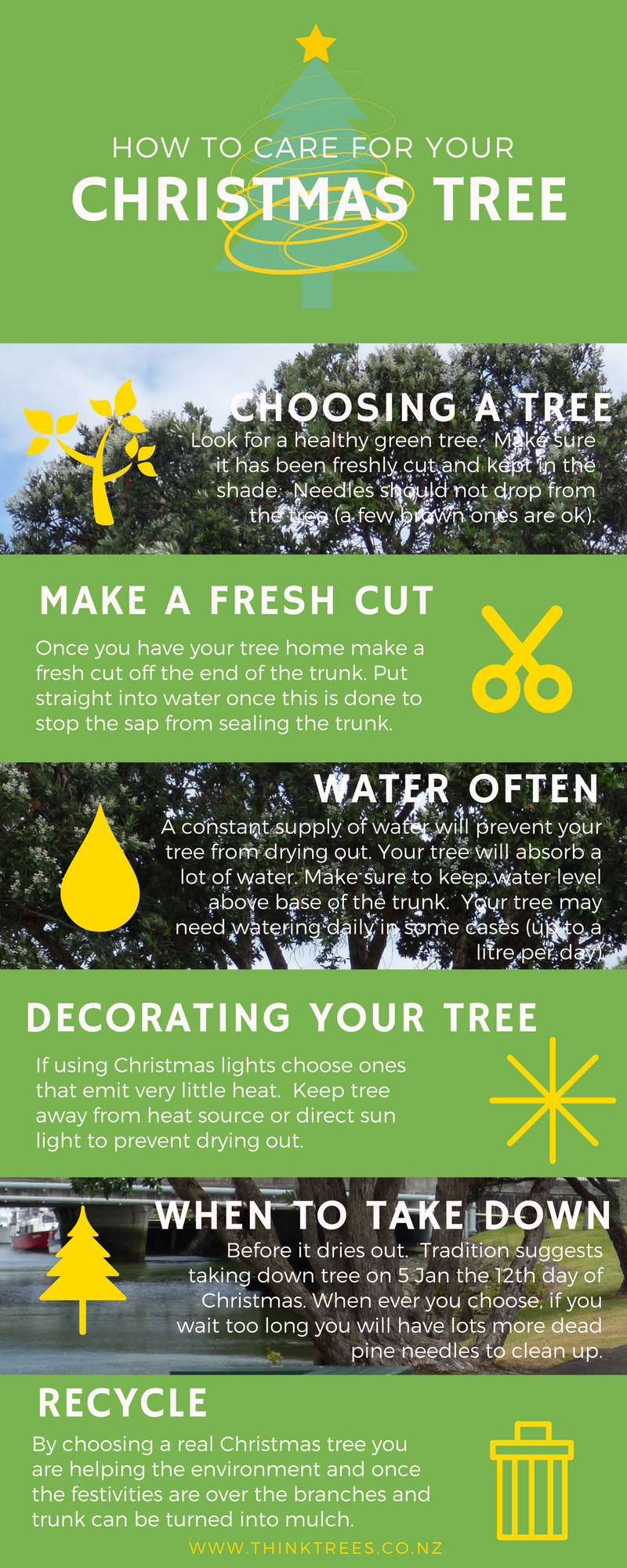 How to Care for Your Christmas Tree