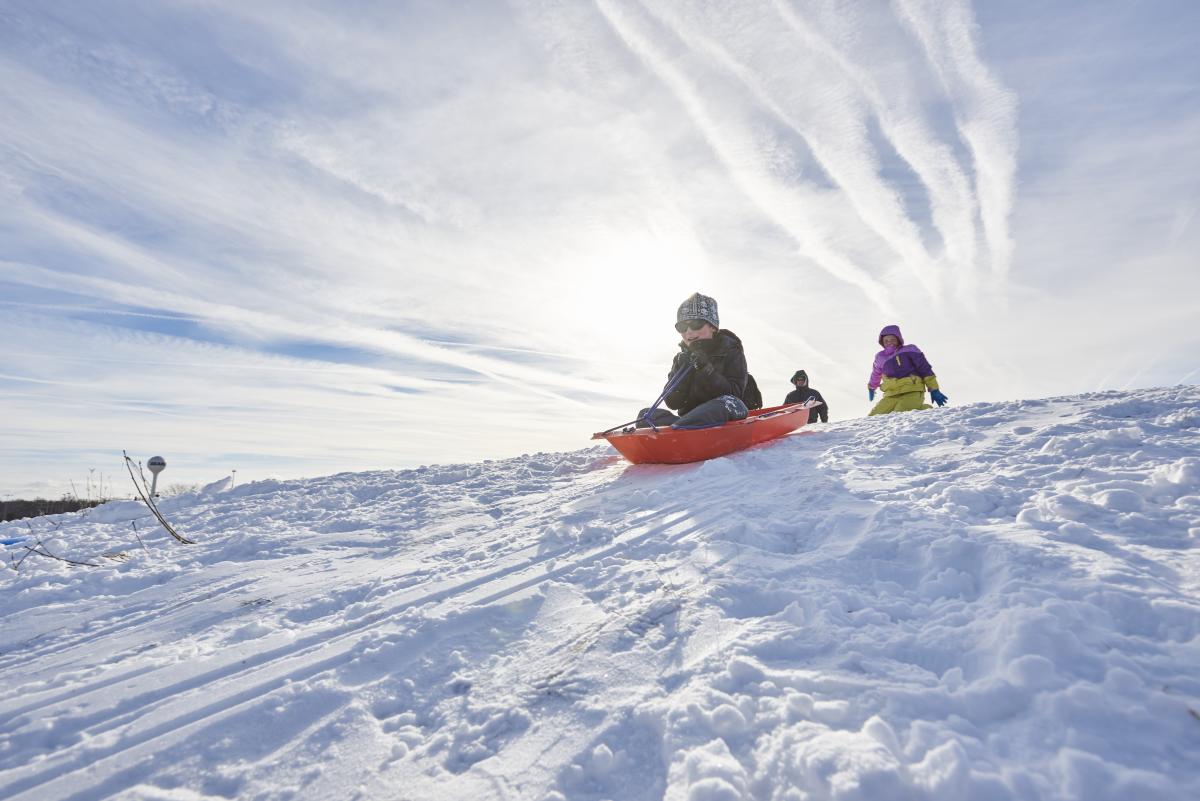 Ice Skating and Sledding