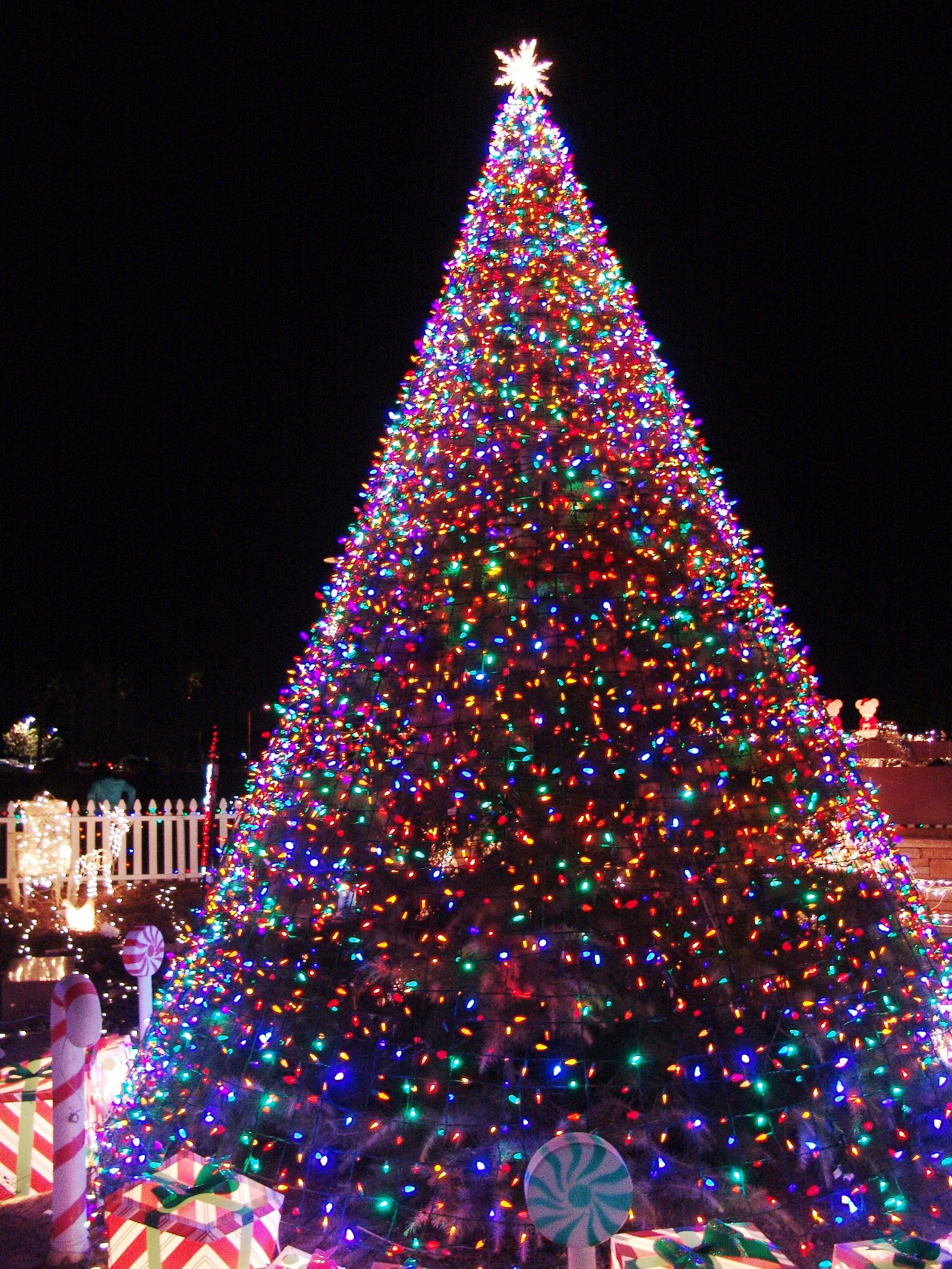 Lighting Christmas Tree