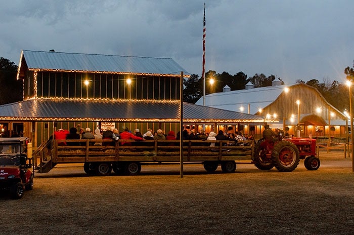 Mikes Farm Christmas Activities