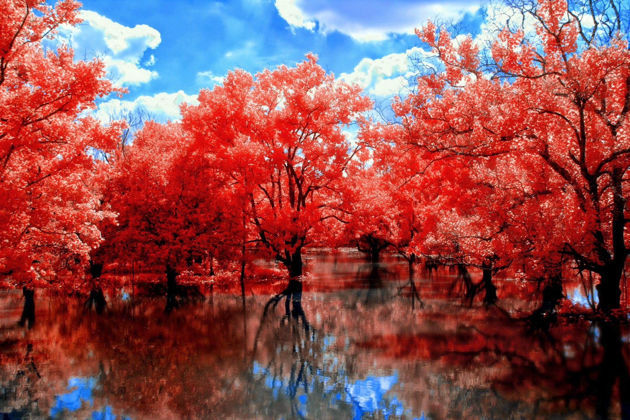 Nature-Inspired Red Tree