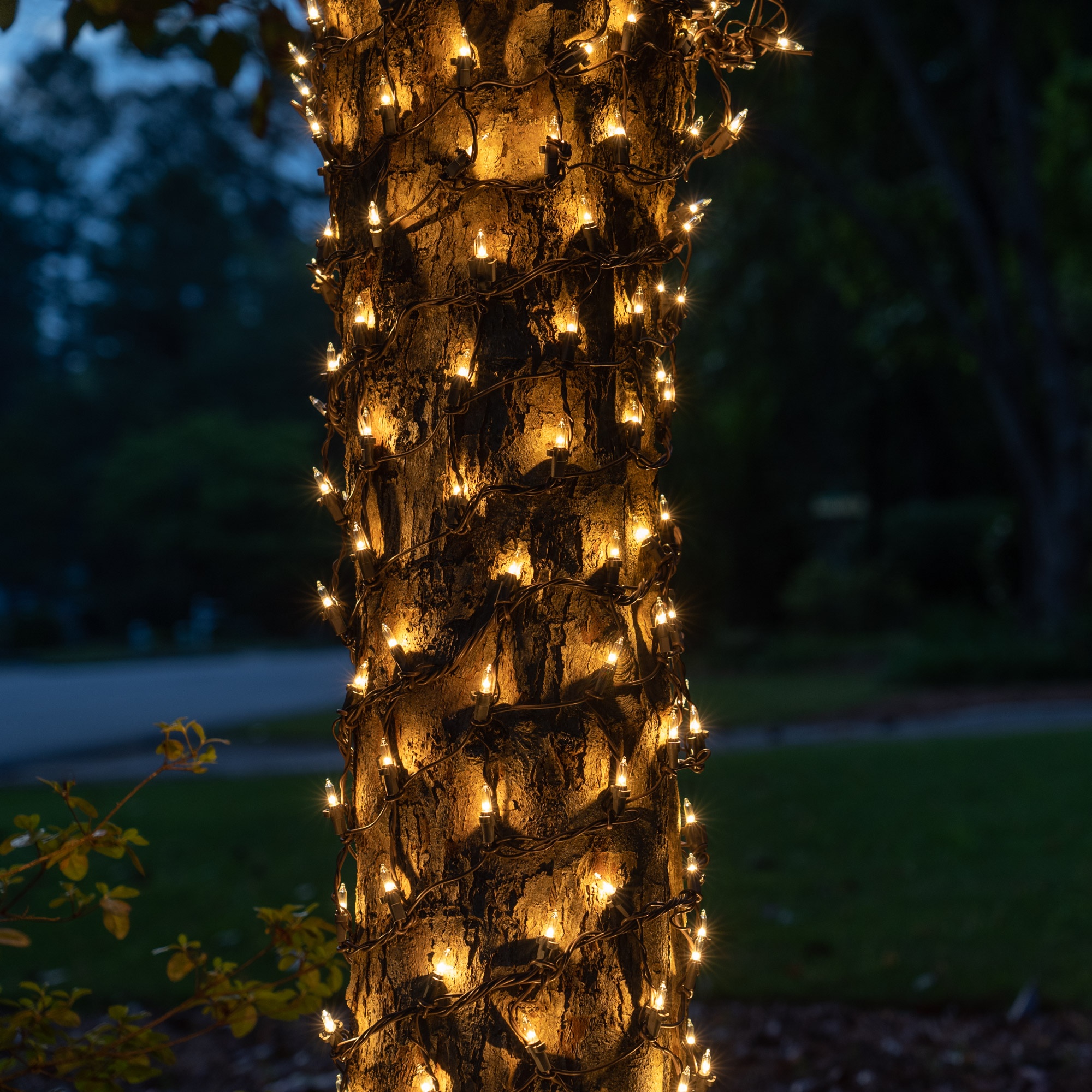 Net Christmas Tree Lights