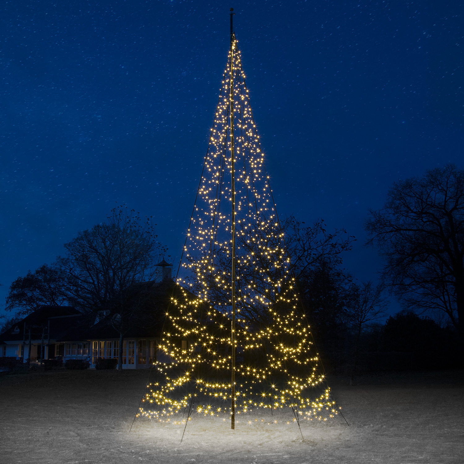 Outdoor Christmas Tree Lights