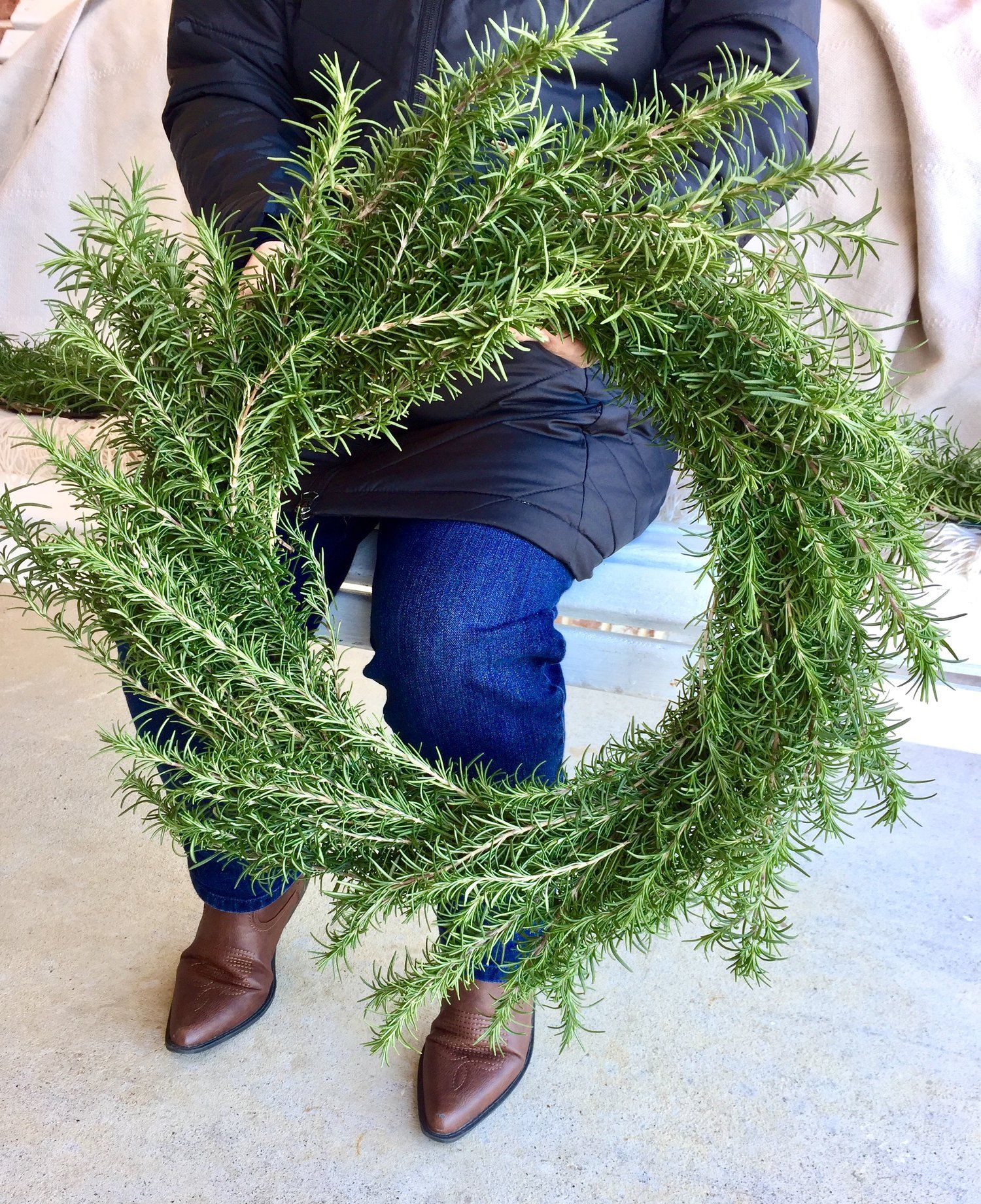 Create a rosemary wreath for Christmas