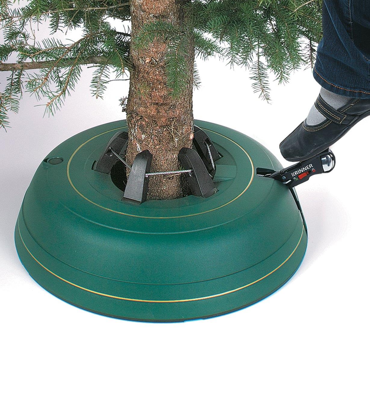 Securing Christmas Tree in Stand