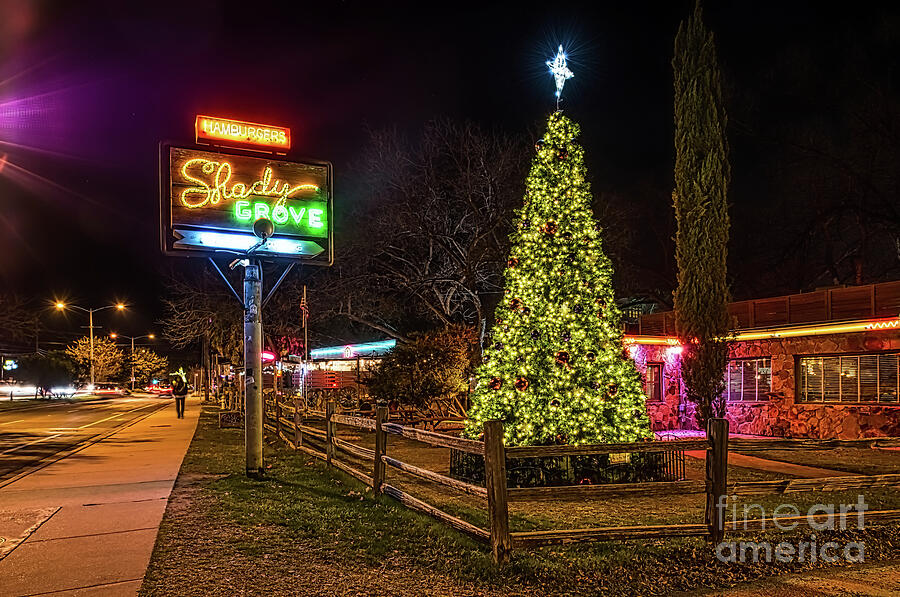 Shady Grove Christmas Tree Farm