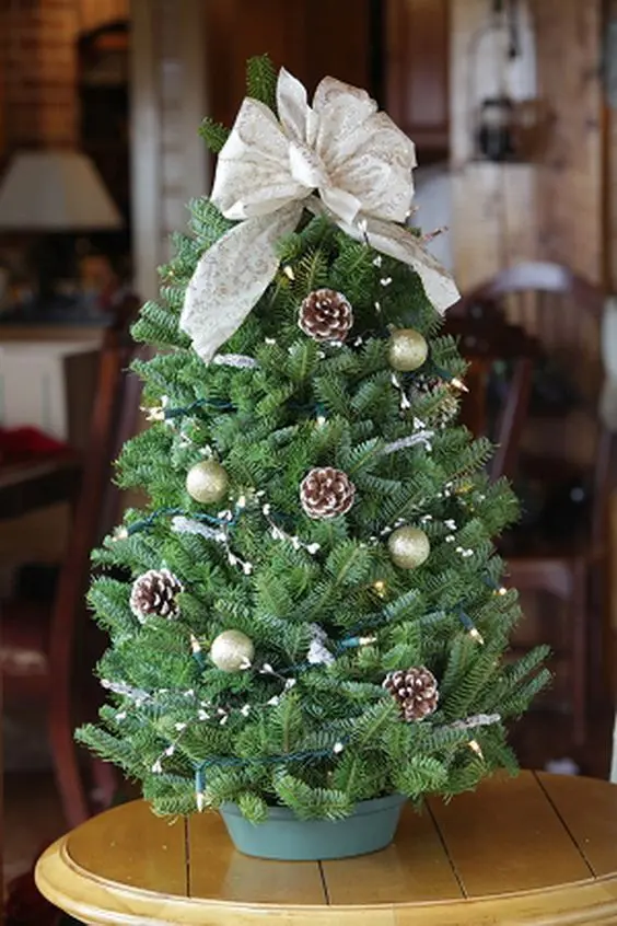 Small Decorated Christmas Trees Images And Ideas