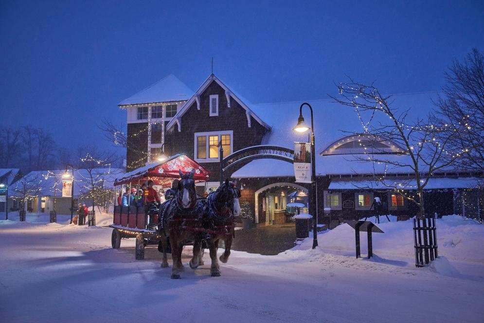 Traverse City Holiday Activities