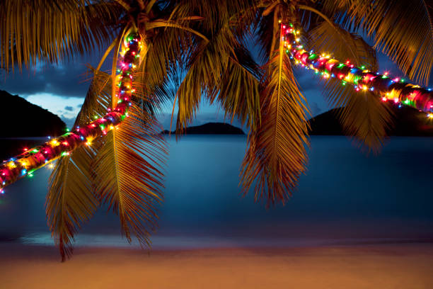 Tropical Christmas Tree Lights