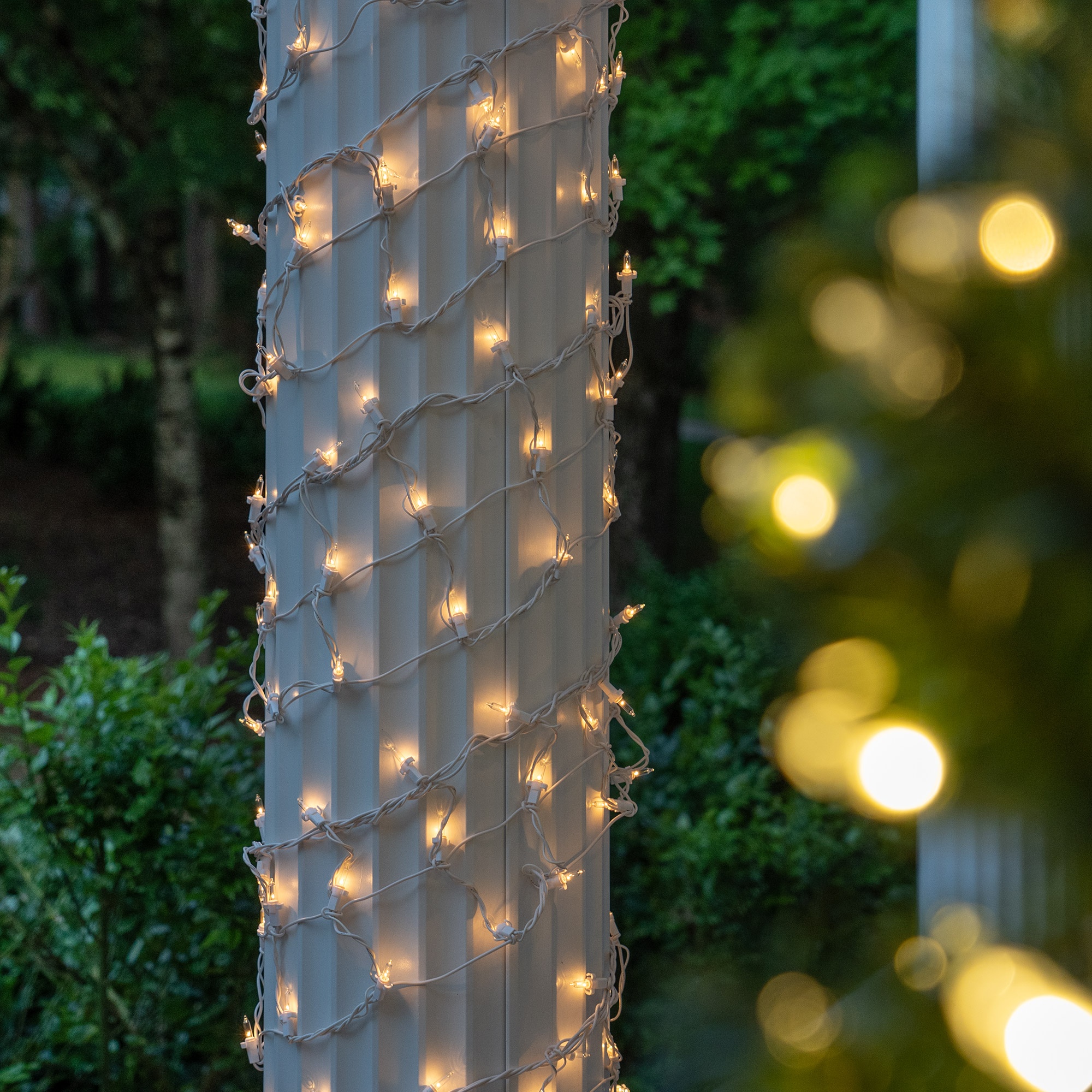 Wrapped and weaved Christmas lights around the tree trunk