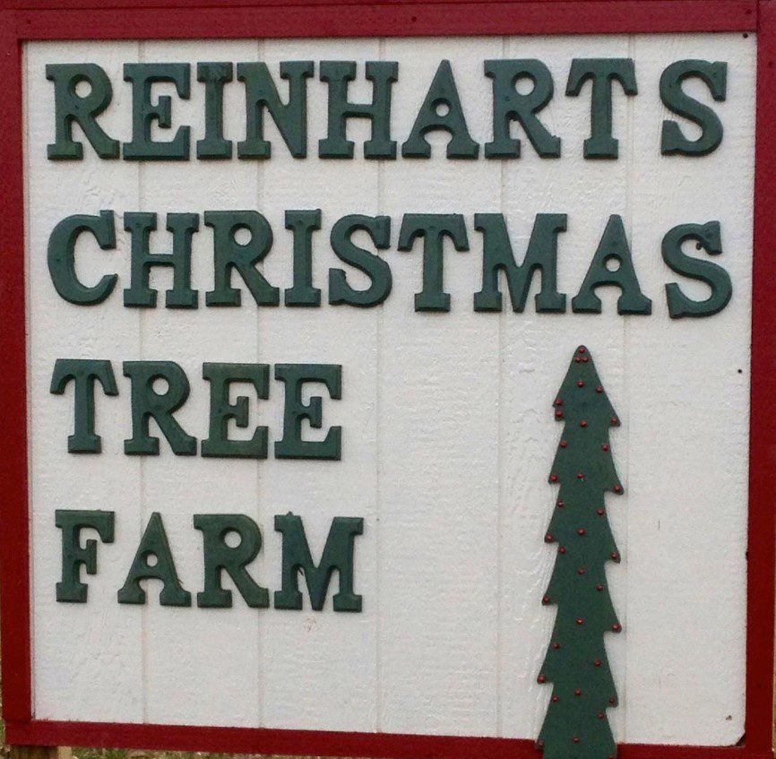 Reinhart Christmas Tree Farm Santa